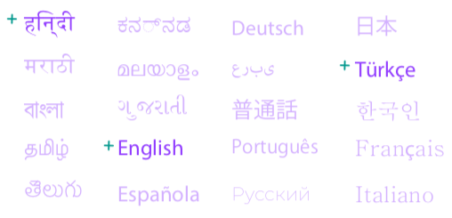 30 Indian and Global Languages Covered Online Dubverse