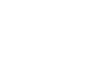 Vector 4