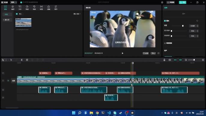 fore we delve into the process of embedding subtitles, let's take a look at the pre-requisites. Here's what you'll need to get going:A video file: Please ensure that your video is in a format that can be easily accepted by most video editors. Formats such as .mp4, .mov, etc are commonly used.A subtitle file: These usually come in .srt or .ass formats.A video editor or media player software: Some popular choices include Adobe Premiere, VLC Media Player, or a video converter tool. We'll cover how to use these tools in the next section of this guide.By preparing these essential assets, you will be all set to embark on your journey of learning how to permanently embed subtitles into a video.